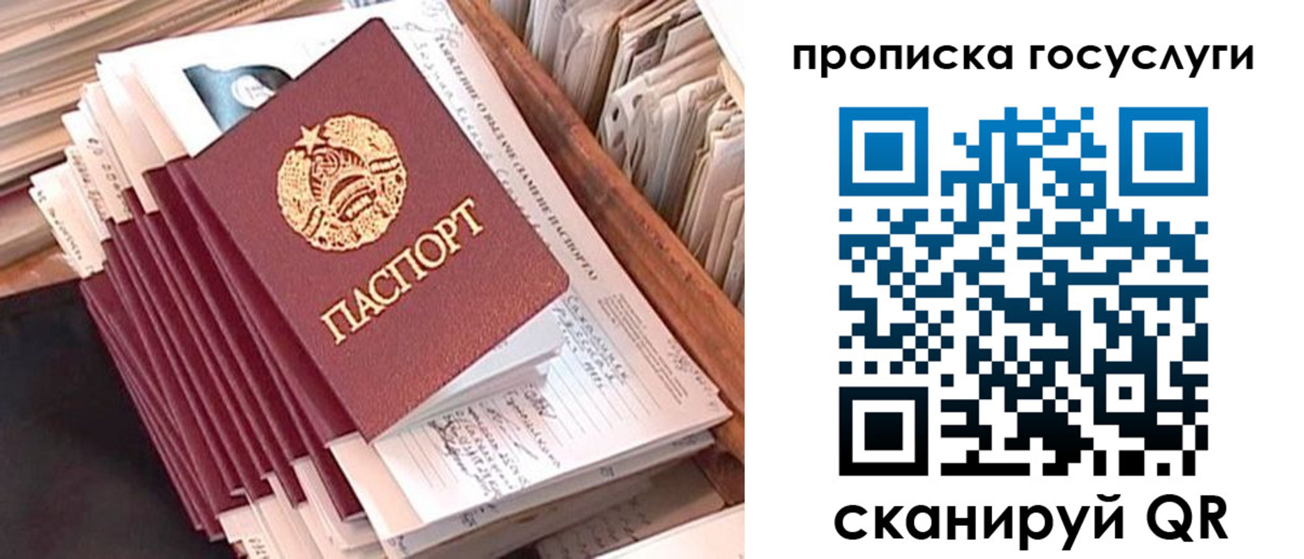 прописка для школы в Кировске